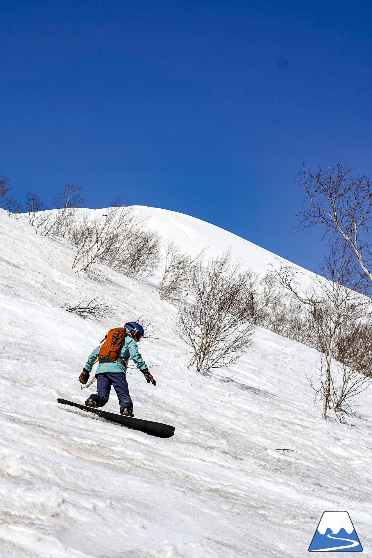 ニセコグラン・ヒラフ DYNASTAR SKI TEST RIDE DAYS Photo Session!!最高の天気に恵まれたニセコに、最高の仲間たちが集まりました☆